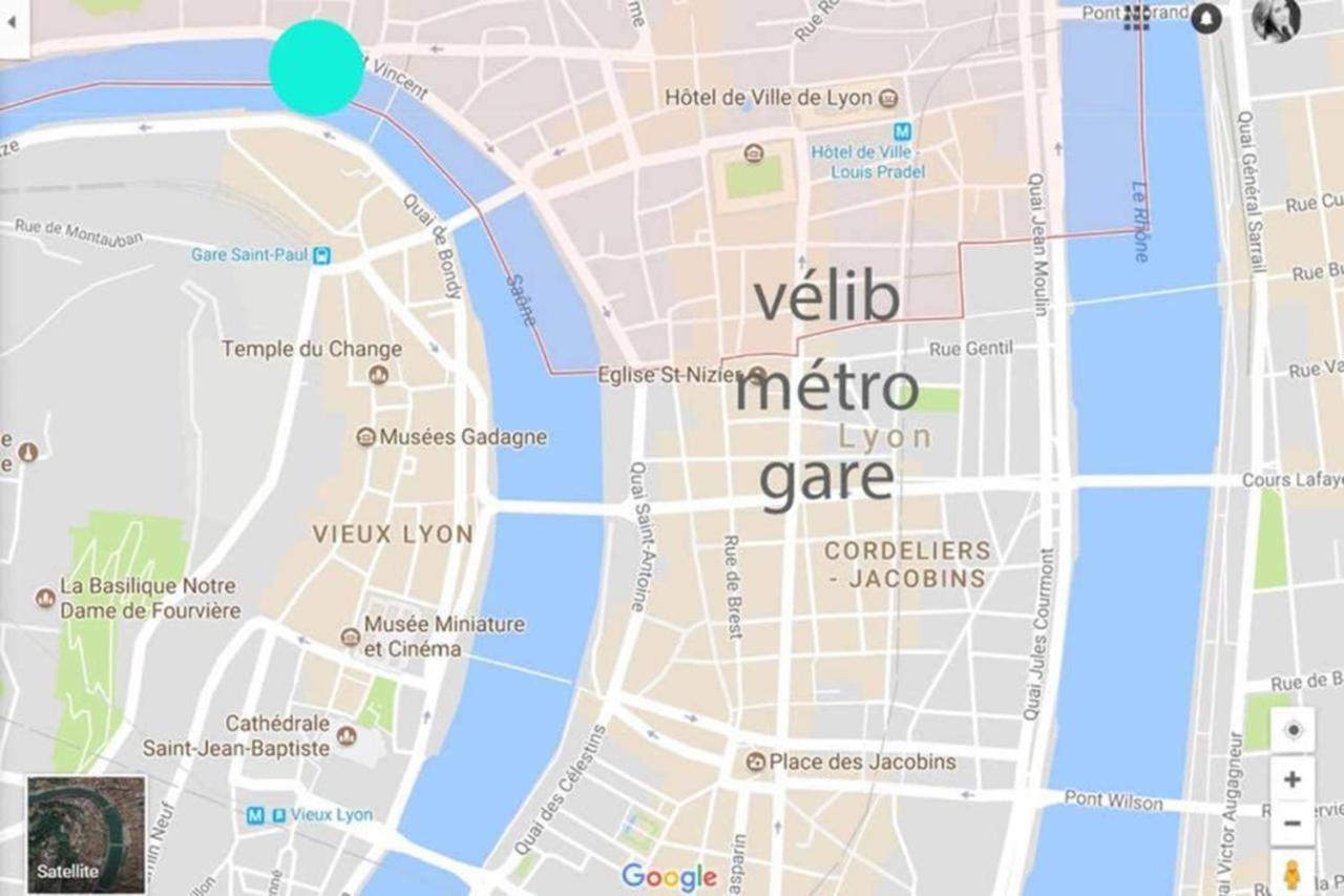 Appartement Haussmannien D'Artiste, Exception, Quai De Saone Balcon+Parking 里昂 外观 照片